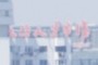 上海人才市场