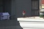landing light?
