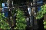 trafo