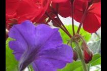 19494-210x140