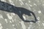 Shadow of Harry Potter?