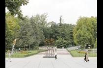 19526-210x140