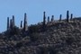 Pahvant Butte