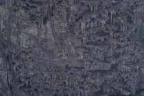 184446-210x140