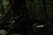 184437-210x140