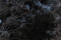 184624-210x140