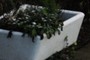 Herb garden