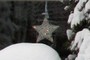 Christmas star