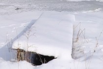 185463-210x140