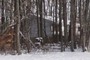 Neighbor