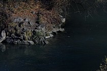 185801-210x140