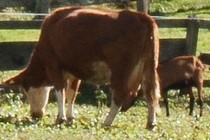 186155-210x140
