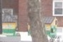 What are those?