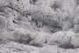 icicles