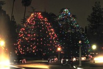 186683-210x140