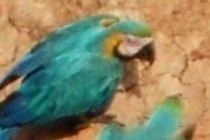 186787-210x140