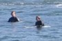 swimmers
