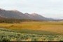 East Centennial Mountains