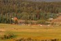 Meadow Vue Ranch