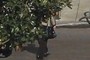Hidden woman handeling a bag