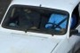 safety belt