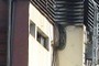 Two windows