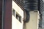 Two windows