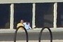 two guys on the window