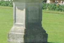 187337-210x140