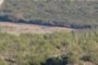The Big Sandy River - with water!