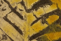 188079-210x140