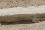 Gypsum