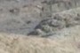small canyon