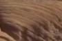 Fossil Dune