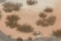 188646-210x140