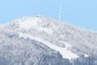 Grouse Mountain