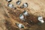 Palomas