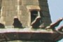 Catedral