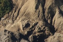 189561-210x140