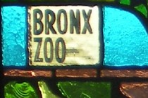 189710-210x140