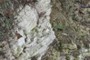 Purbeck limestone