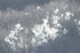 Not snow!