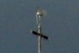 Weather vane on cross
