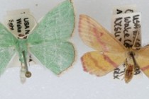 191646-210x140