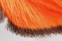 furry wing