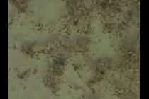 19971-210x140