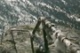 guardrails