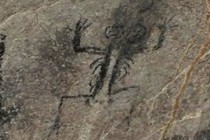 195326-210x140