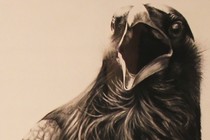 192544-210x140
