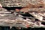 Bricks